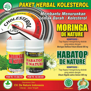 Illustration for article titled Obat Darah Tinggi Tradisional